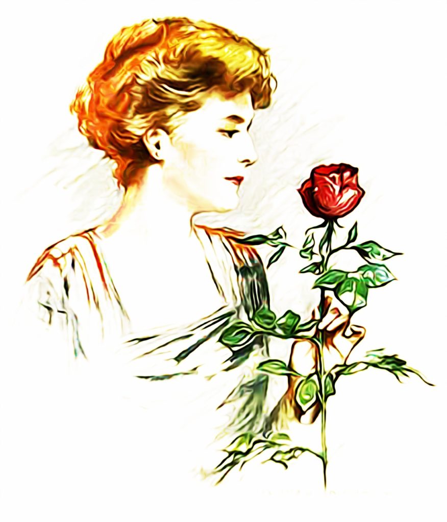 woman, roses, woman holding a rose