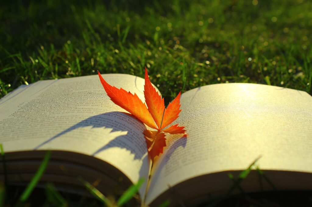 book, leaf, autumn-5610433.jpg